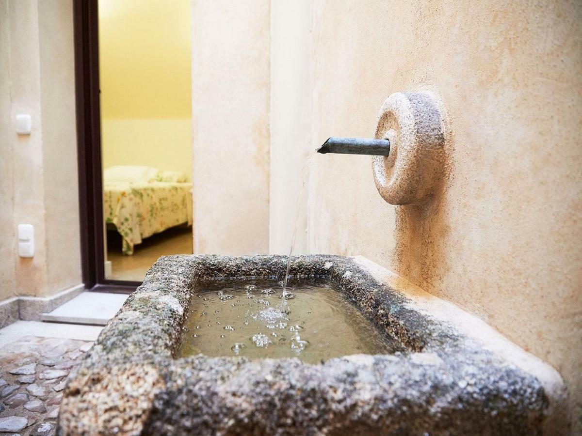 Apartamentos San Pablo Caces Εξωτερικό φωτογραφία